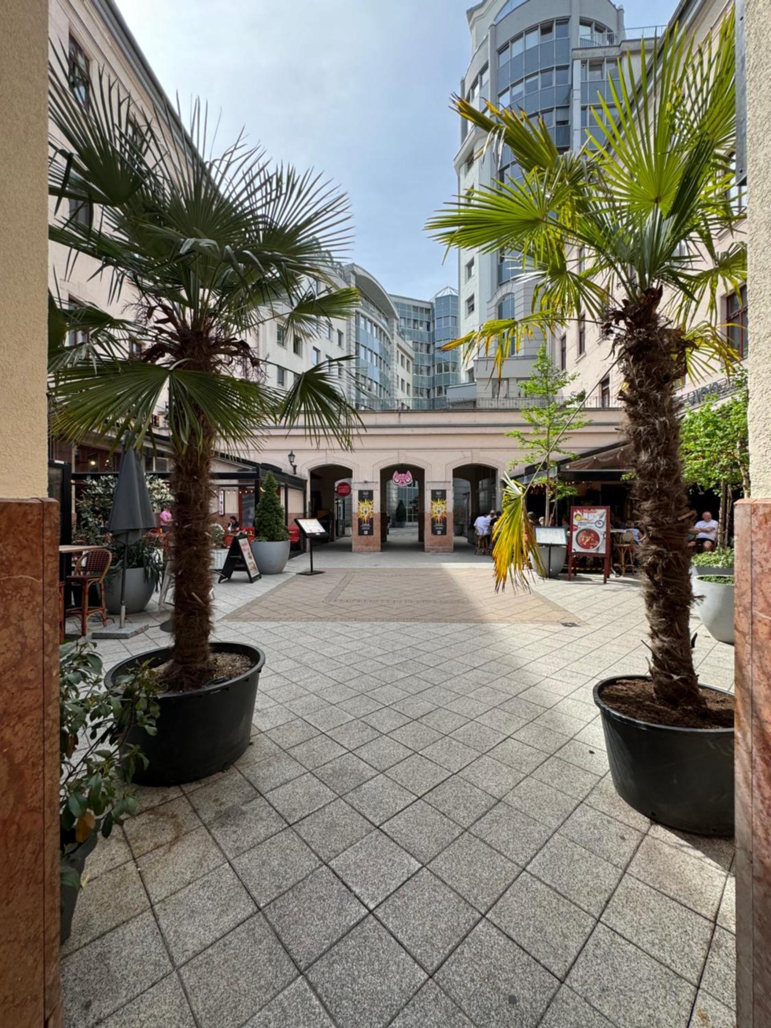 Novo Central Apartments 布达佩斯 客房 照片